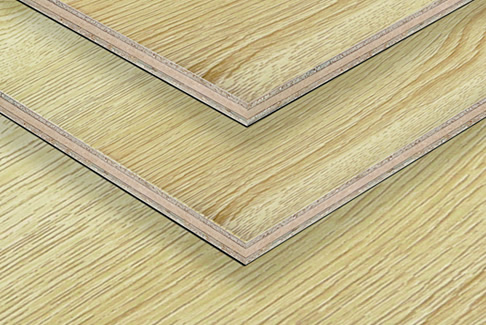 抖圈-为du而生官网入口