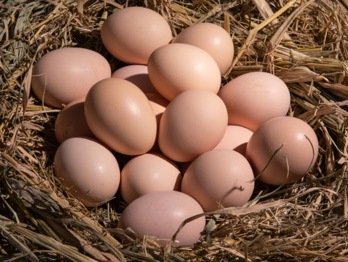 抖圈-为du而生官网入口