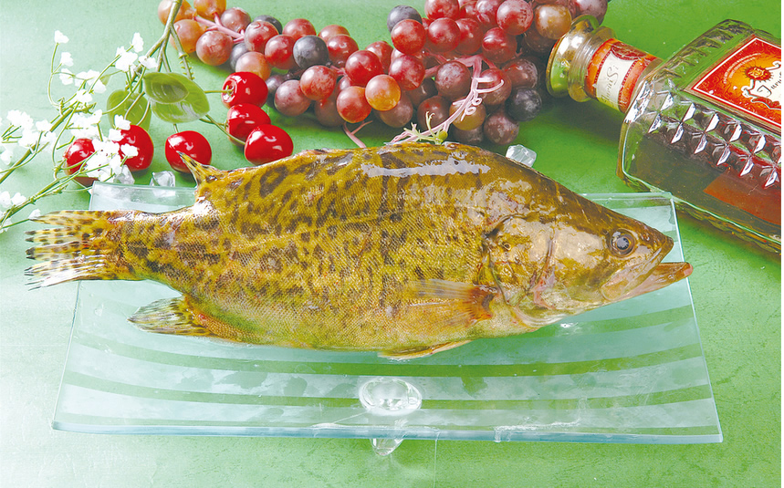 抖圈-为du而生官网入口